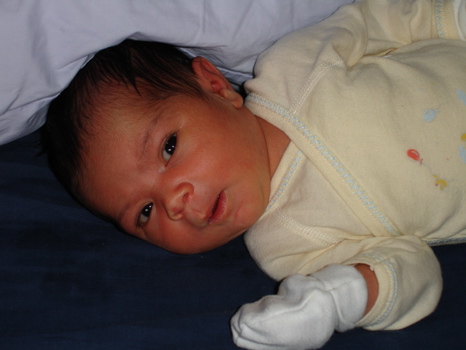Cute face 1 24 Sept.jpg